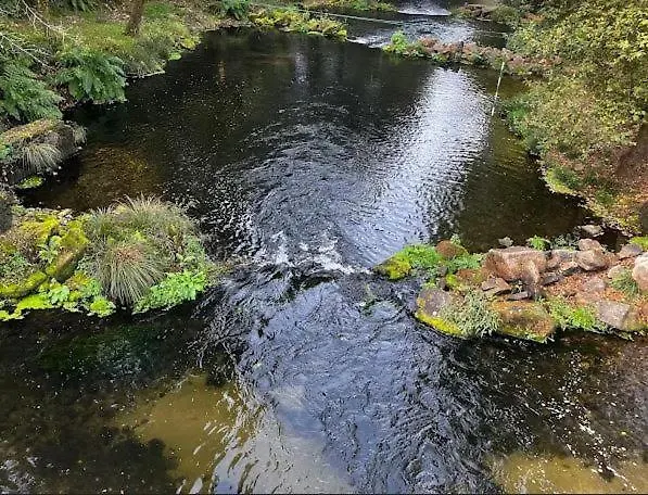 Apartment Refugio Do Ribeirinho