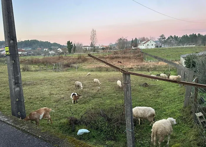 Апартаменты Refugio Do Ribeirinho